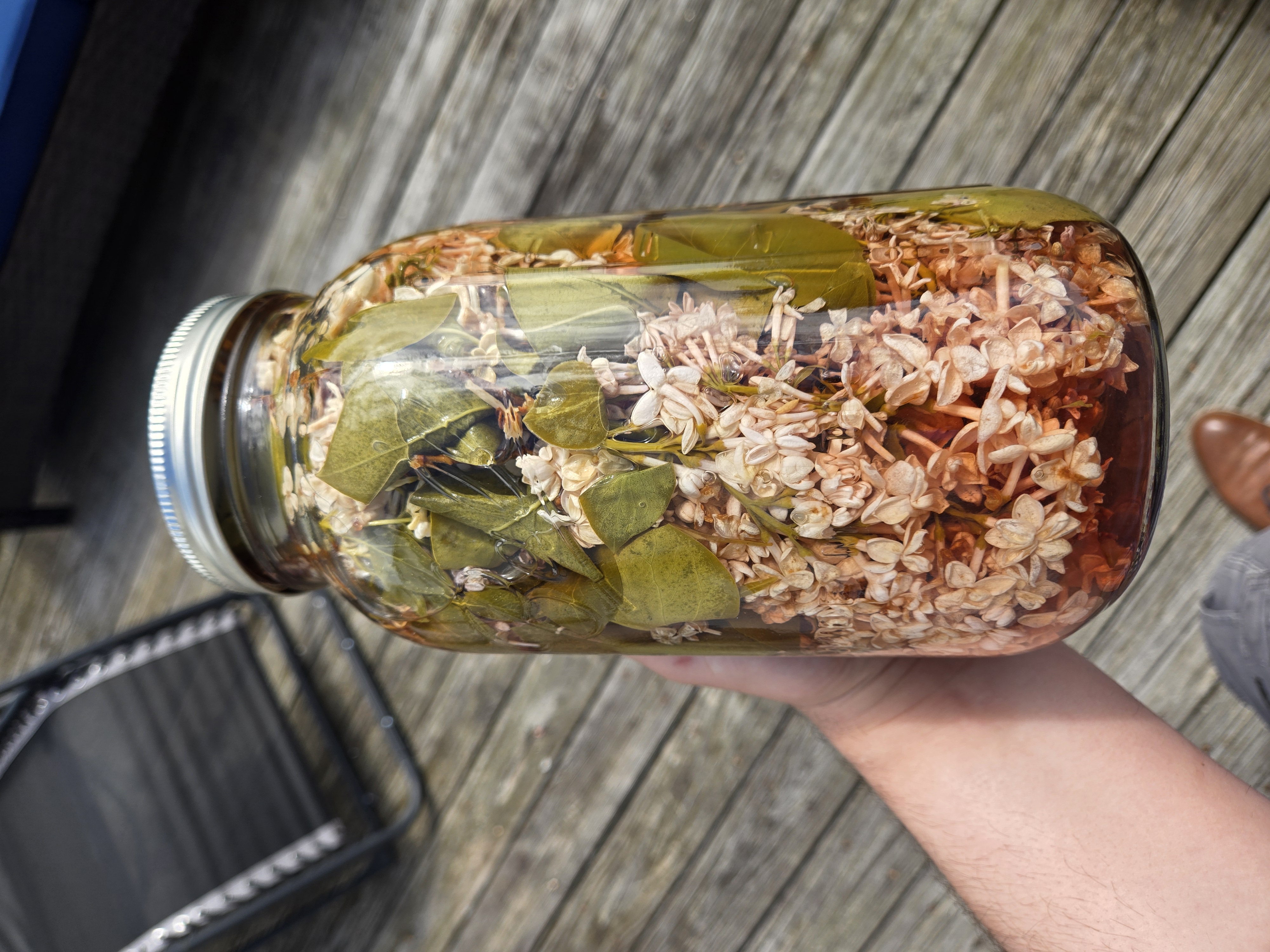Lilac Vinegar from the DF Private Chef media library